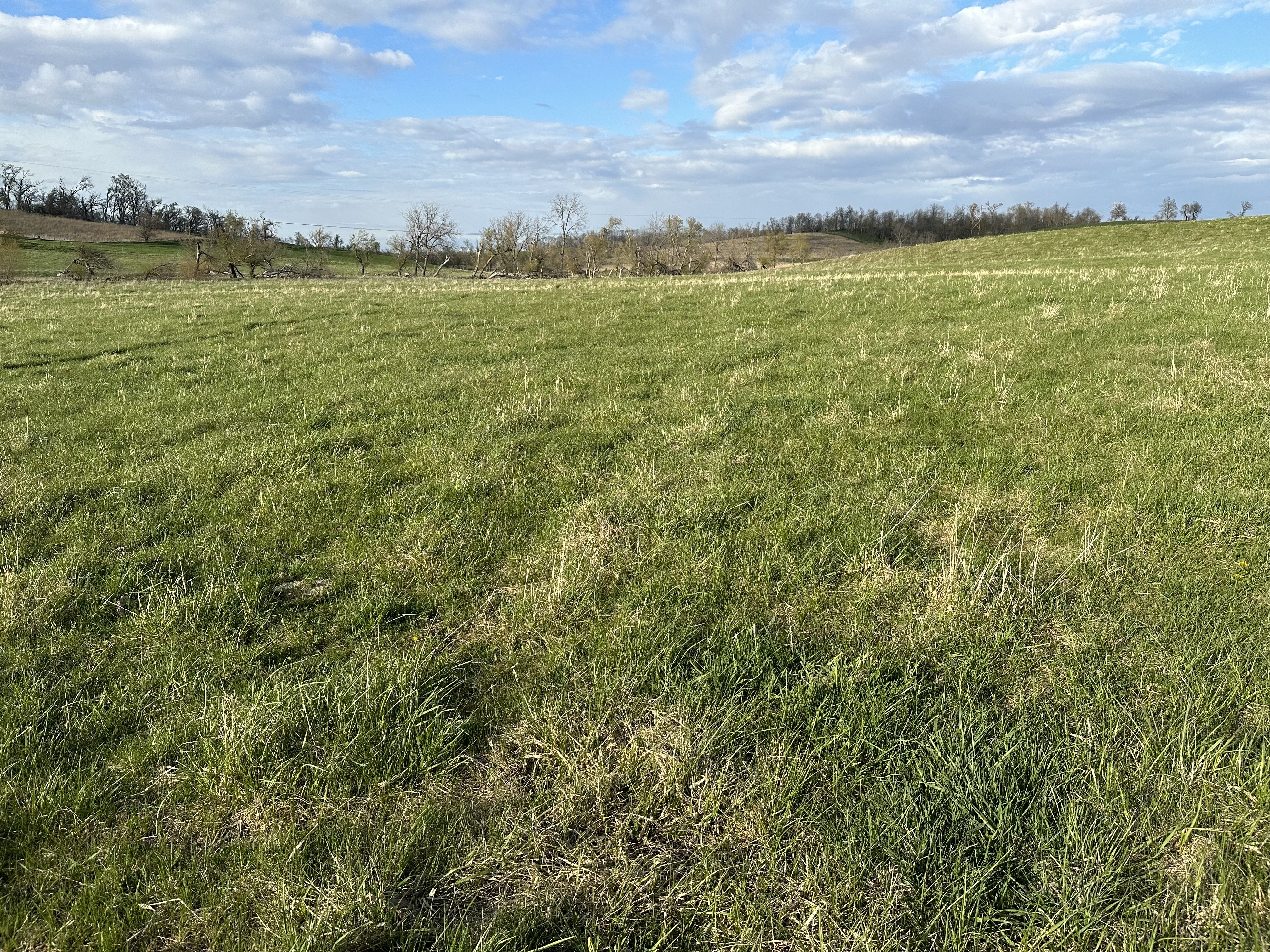 Increasing Forage Biodiversity: Advice For Ranchers