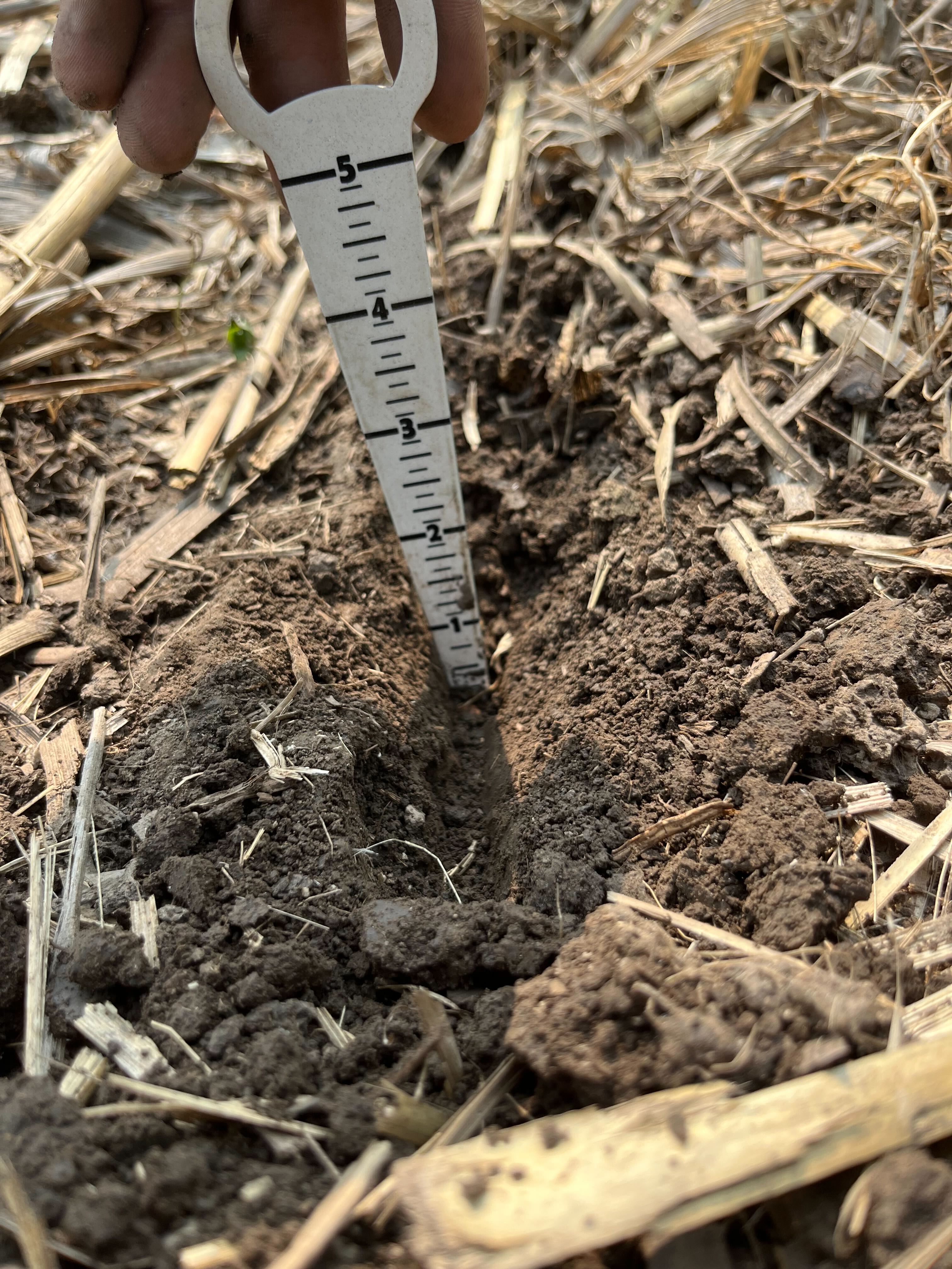 Planter Checklist For No Till Conditions