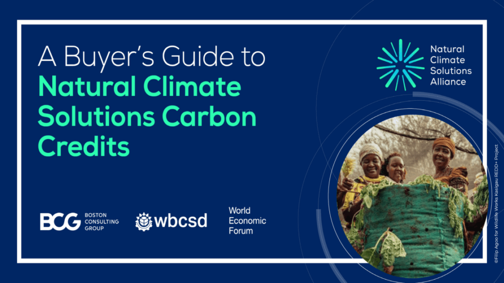 A buyers Guide to Natural Climate Solutions Carbon Credits flyer