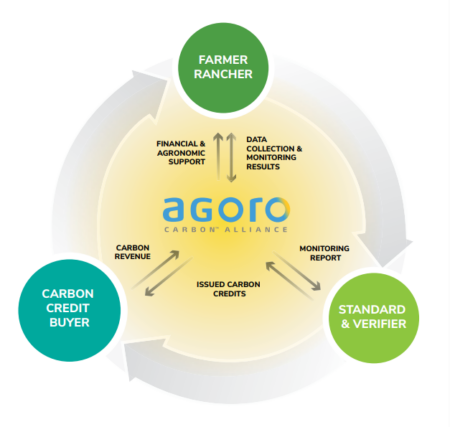 Agoro's process chart