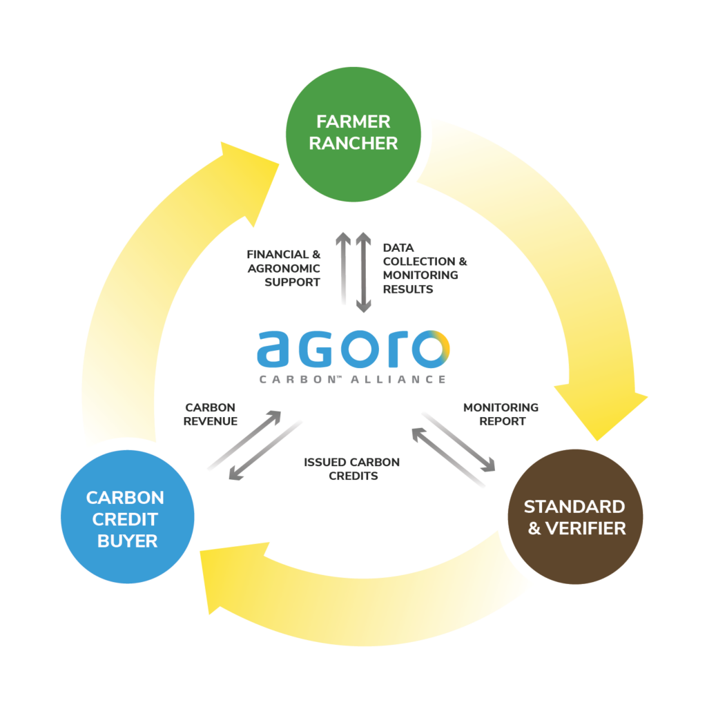 How the Carbon Buyer Program Works