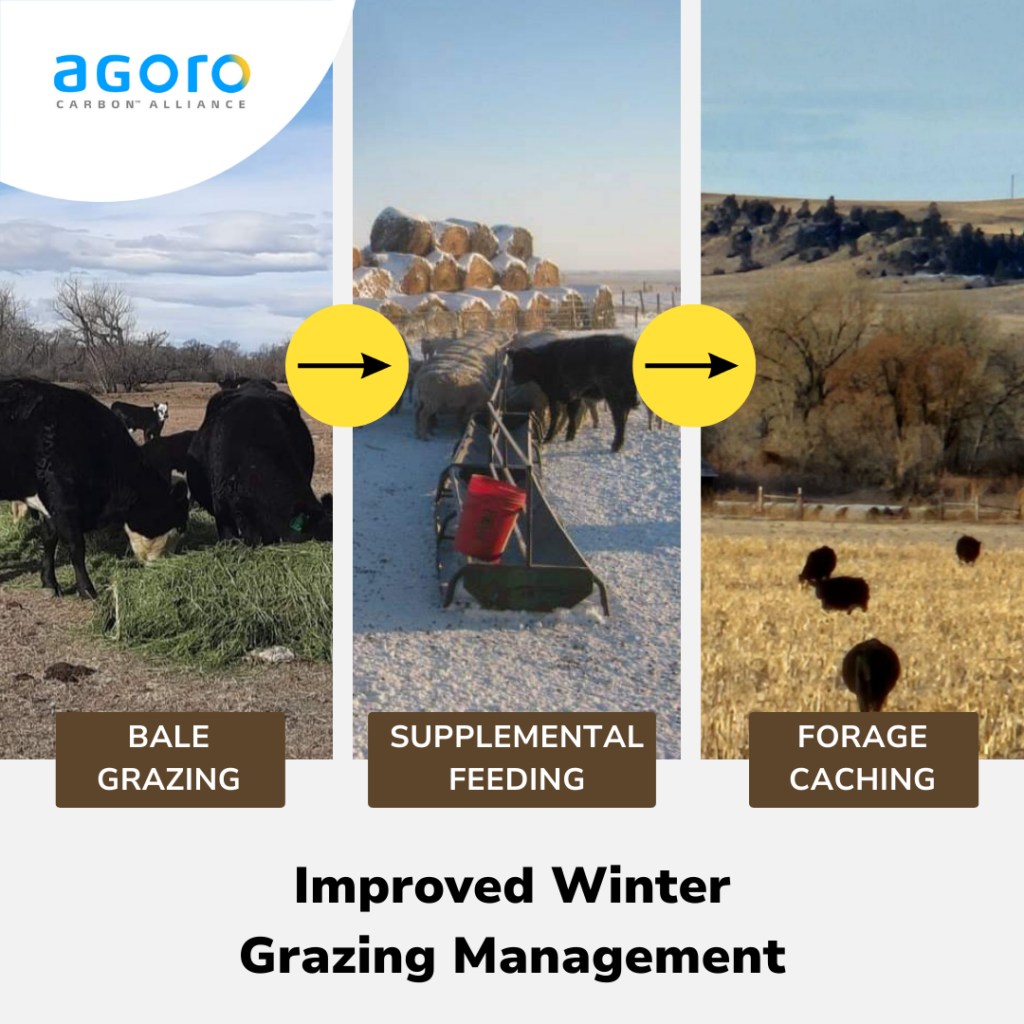 Improved Winter Grazing Management