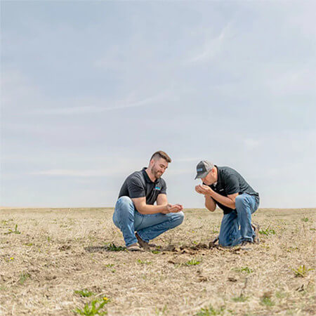 Two experts crouching inspecting the soil