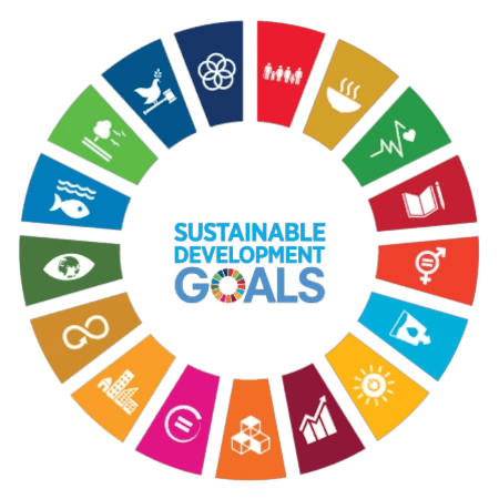 Sustainable development goals chart