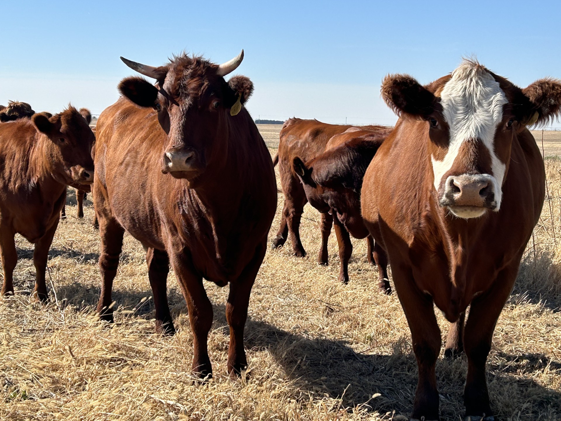 Farming: You’re Doing it for the Future