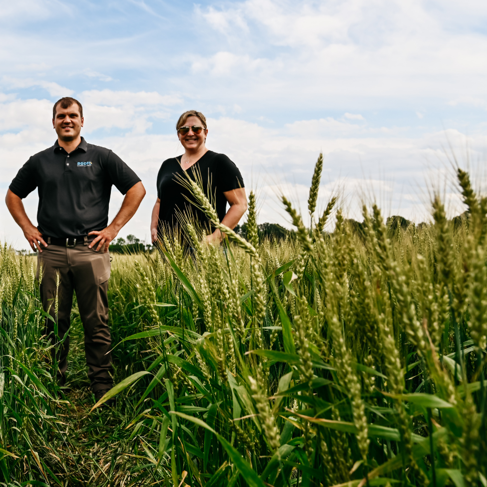 Indiana wheat farm Mark Worner Ashley B