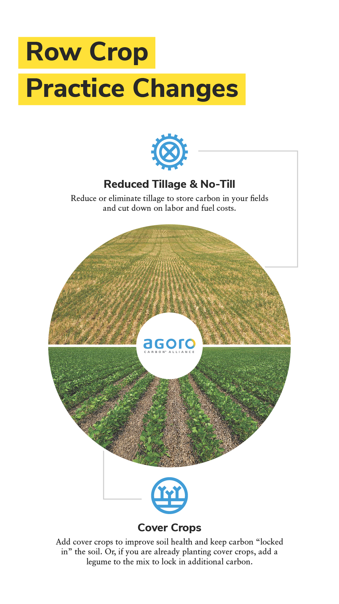 Row crop carbon capture practice change infographic includes cover crops, reduced tillage and no-till