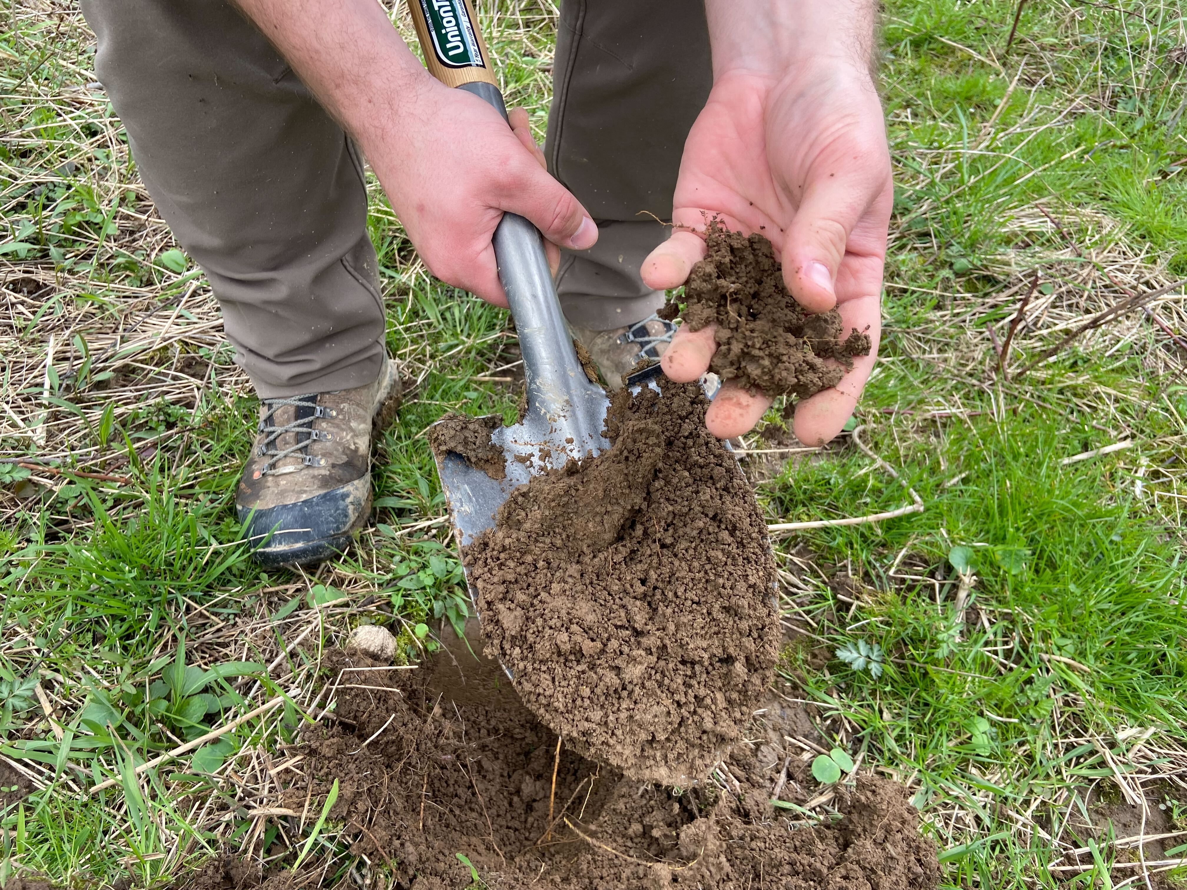 Agronomist sampling soil