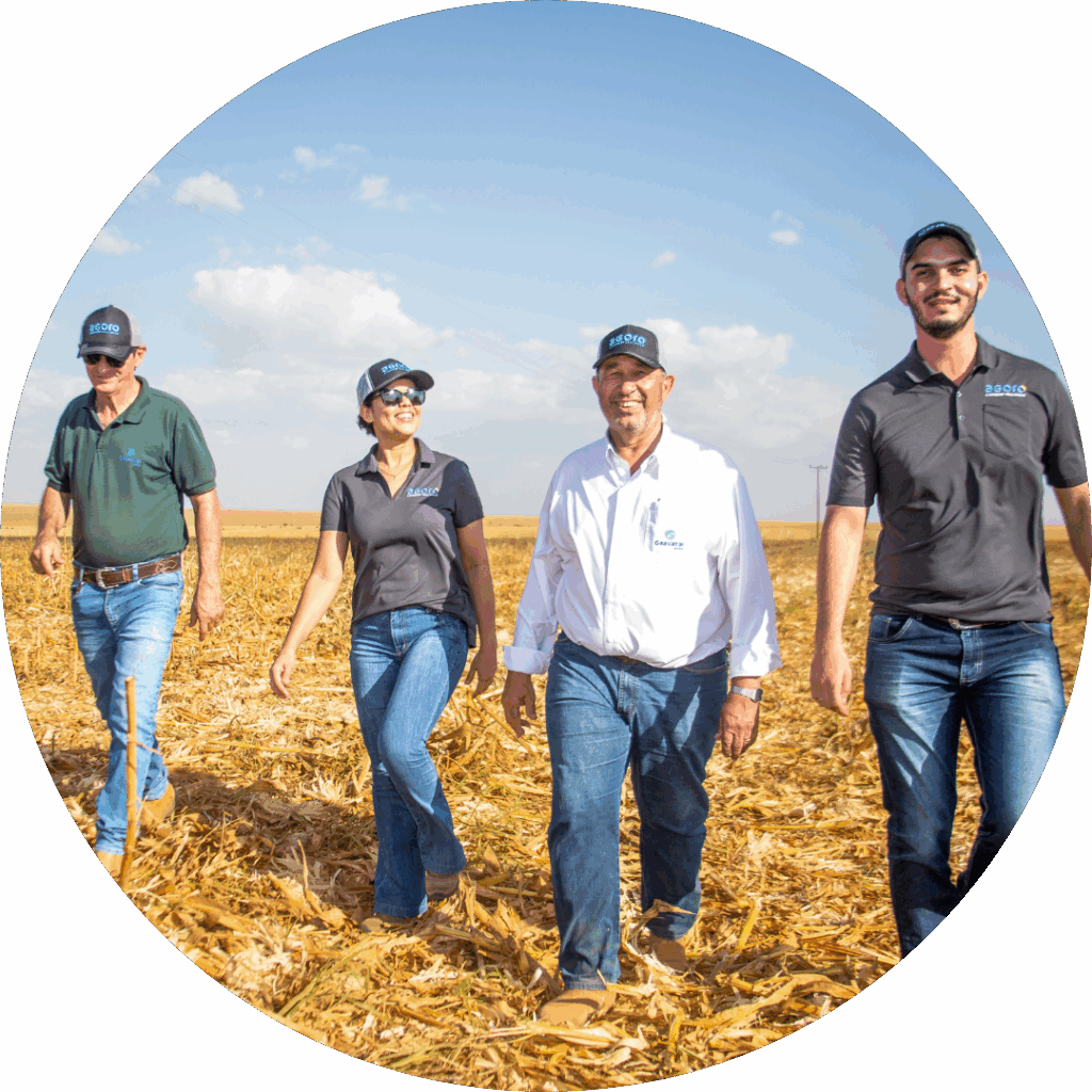 Brazil Team In Field